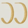 AGAVE HOOP EARRING GOLD