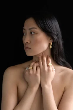 Alida Earrings Gold Vermeil