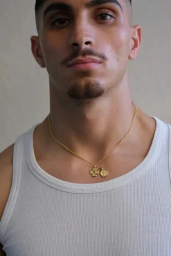 Fortune Necklace Gold Vermeil