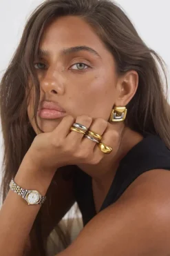 Hosk Earrings Two Tone