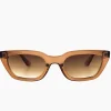 Nove - Transparent Coffee/Brown